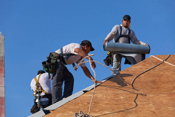 Best Local Roofing Companies  in Robbins, NC