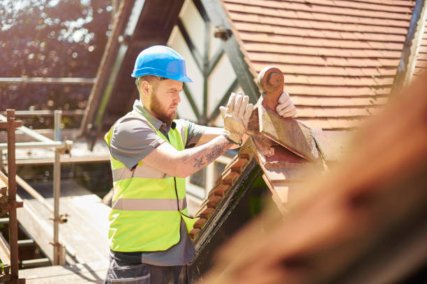 Best Roof Repair Services  in Robbins, NC