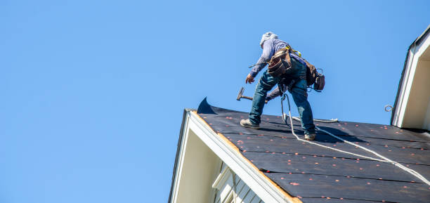 Best Roof Maintenance Services  in Robbins, NC